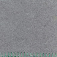 Silver_en