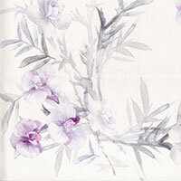 Wisteria