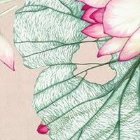Powder pink