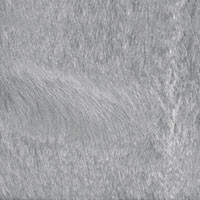 Silver_en