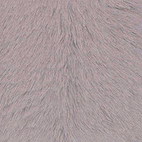 Glicine