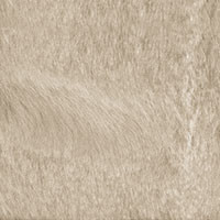 Champagne_en