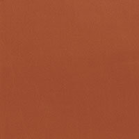 Brandy_en